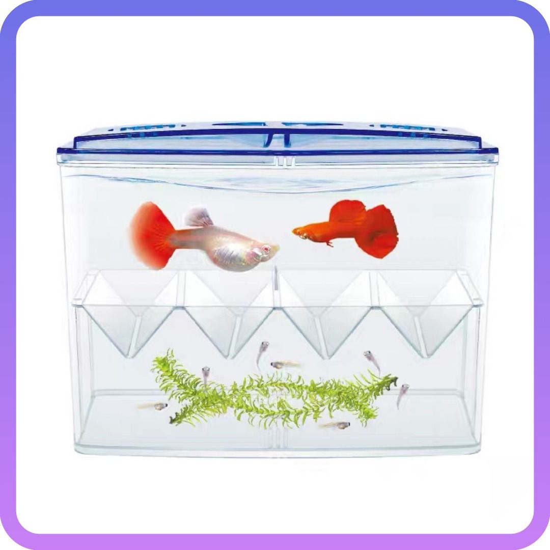 Fish breeding supplies sale
