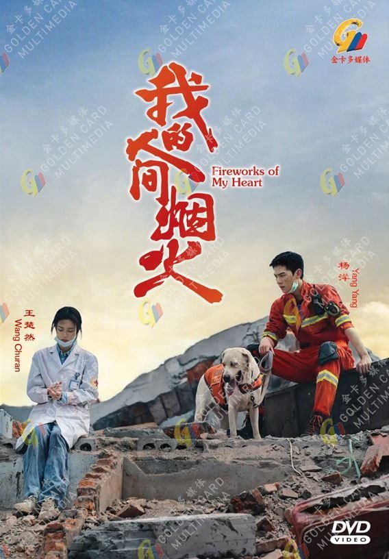 Fireworks of My Heart 我的人间烟火HD Recording China TV Drama DVD