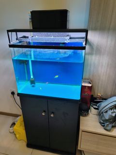 (Category: ) located in . Submitted by arghgogo (Listing ID 1258952890, Image 1). Description: .