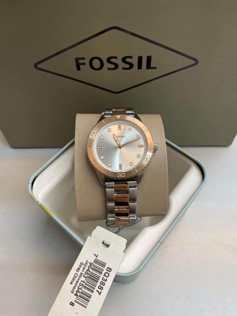Fossil dayle three hand watch, Women's Fashion, Watches