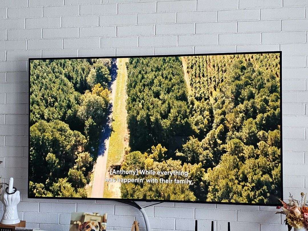 Legendary LG OLED 65 Inch CX PTA OLED65CXPTA, TV & Home Appliances, TV