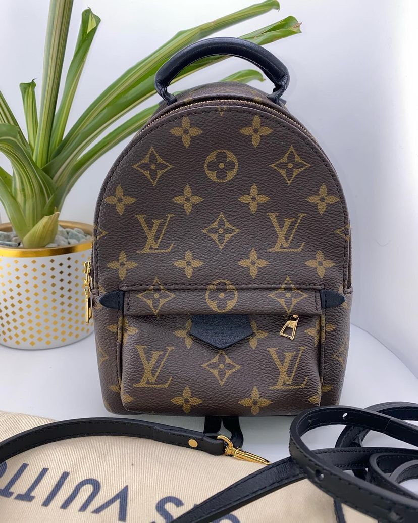 Authentic Louis Vuitton Palm Springs Mini Backpack in Monogram Reverse  Canvas, Luxury, Bags & Wallets on Carousell