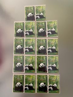 MTR 自然姿采集 Beauty of Nature 大熊貓 Giant Panda 紀念車票 地鐵飛 MTR飛