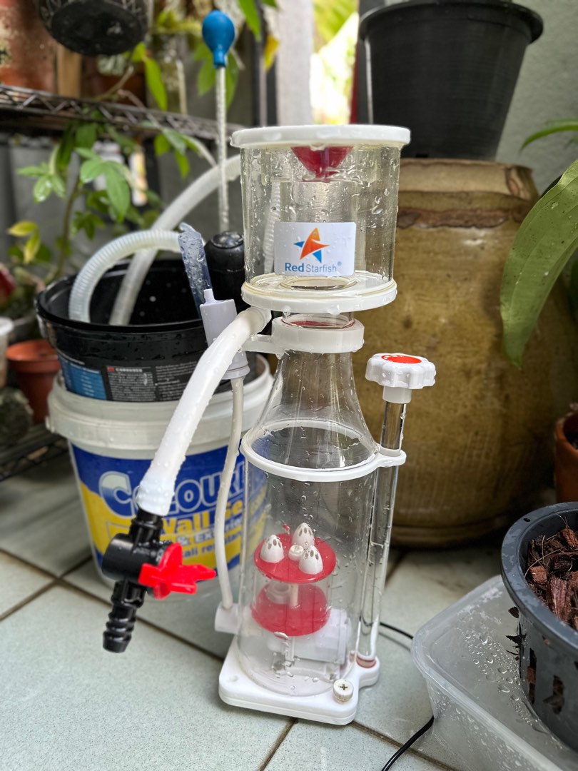 Red Starfish RSN100PLUS protein skimmer (150300 ltr), Sports