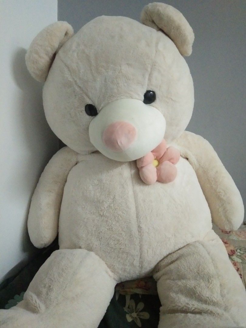 Harga teddy bear 2024 kaison