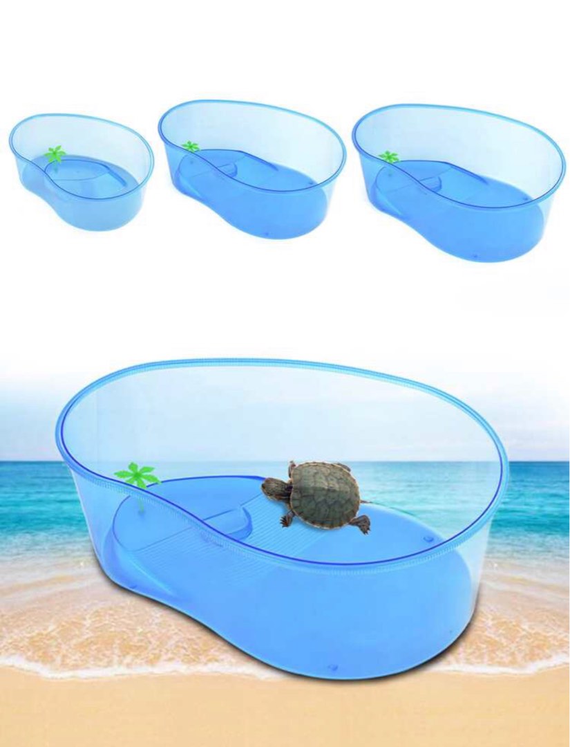 Terrapin tank, Pet Supplies, Homes & Other Pet Accessories on Carousell