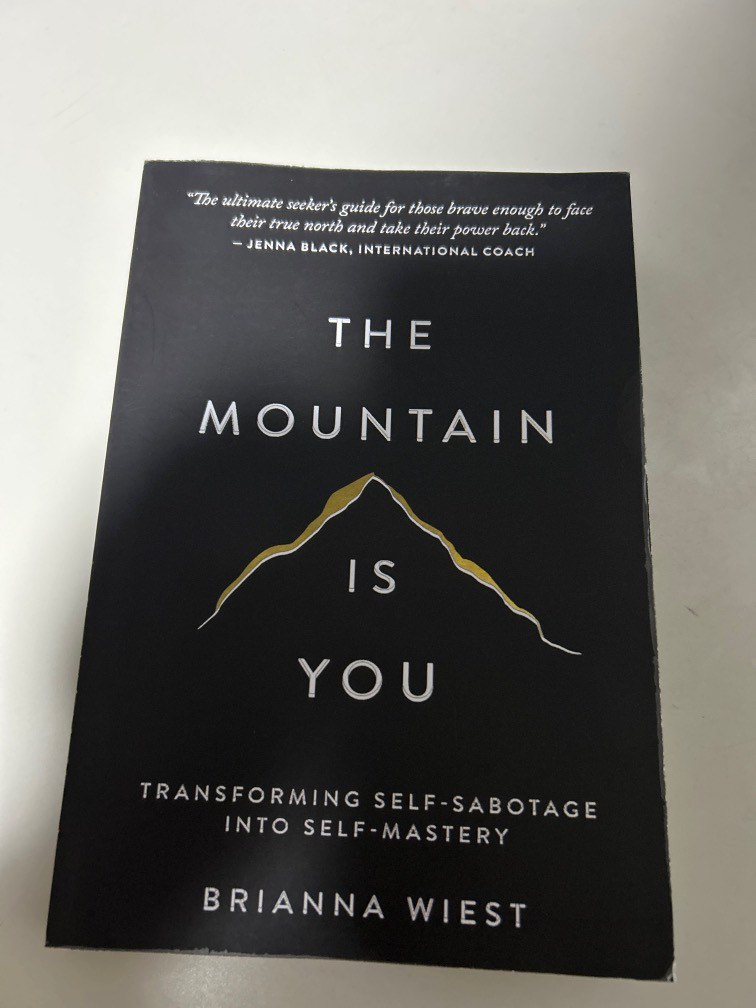 The Mountain is You book, Hobbies & Toys, Books & Magazines, Fiction ...