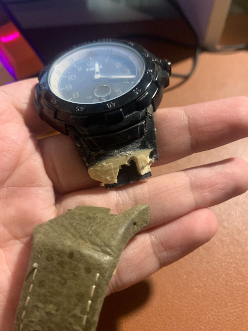 Timex 905 clearance