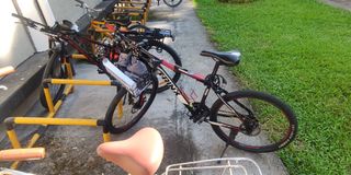 (Category: ) located in . Submitted by sellear (Listing ID 1259021843, Image 1). Description: .