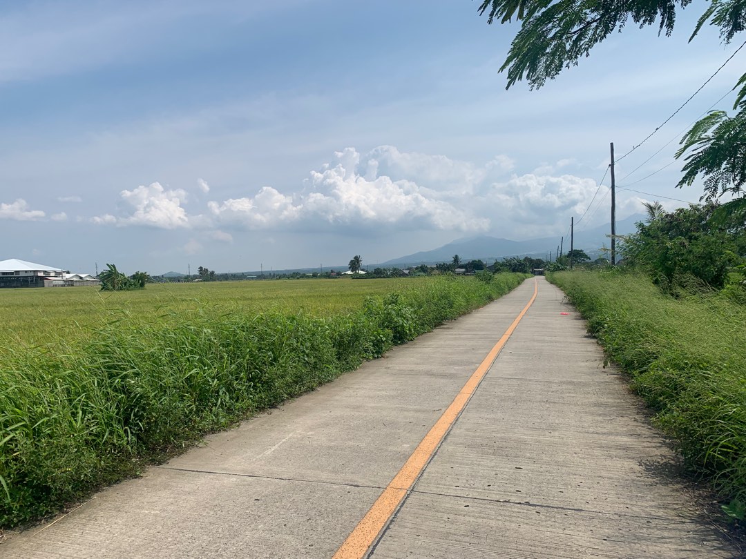 Various Bataan vacant lots for sale Ala uli, Nagwaling, Samat, Cupang