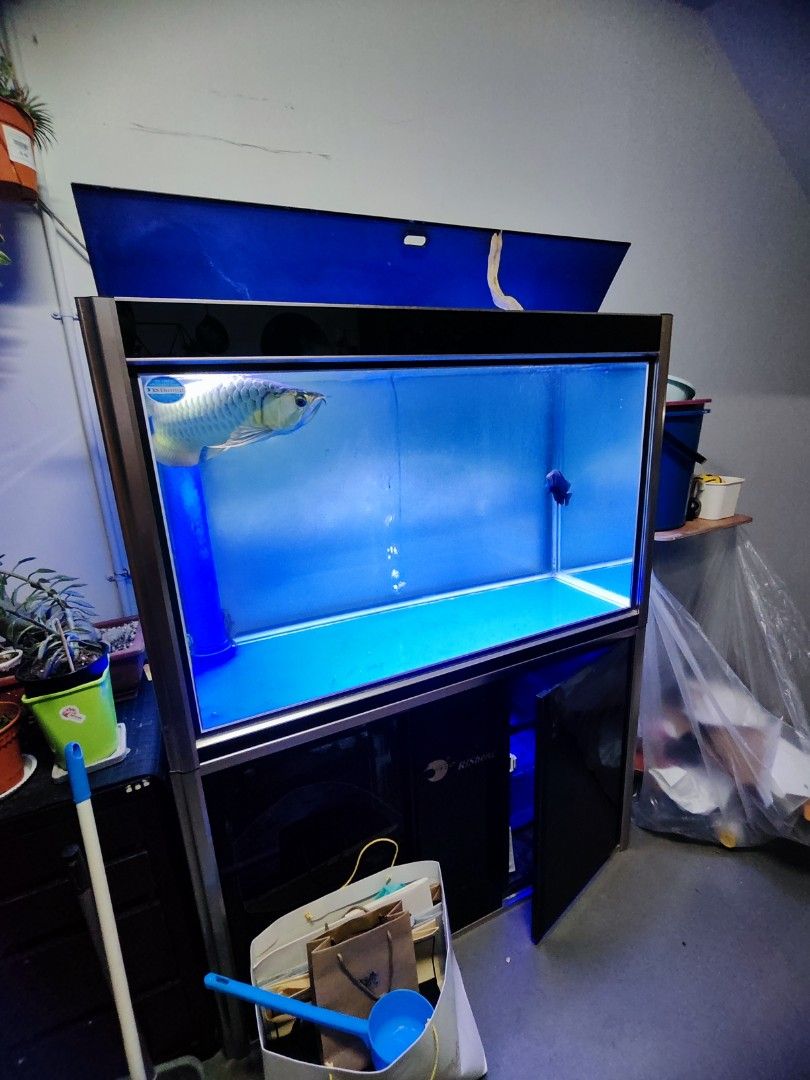 4ft fish tank clearance