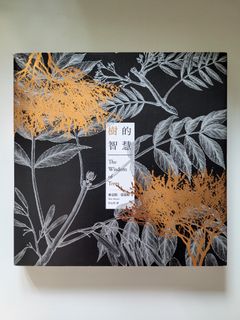 （分類：）位於 。 由 graceliii 提交（商品編號 1259246191，圖片 1）。簡介： 。