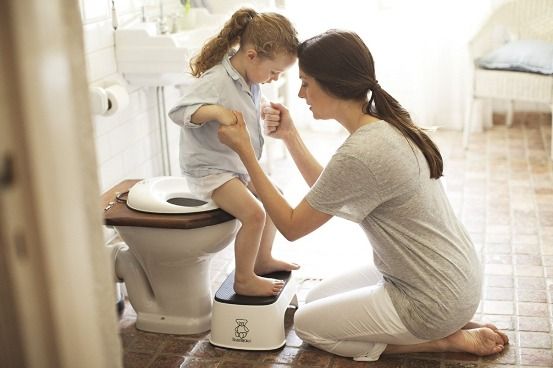 Baby Bjorn Toilet Training Seat 2 Colors