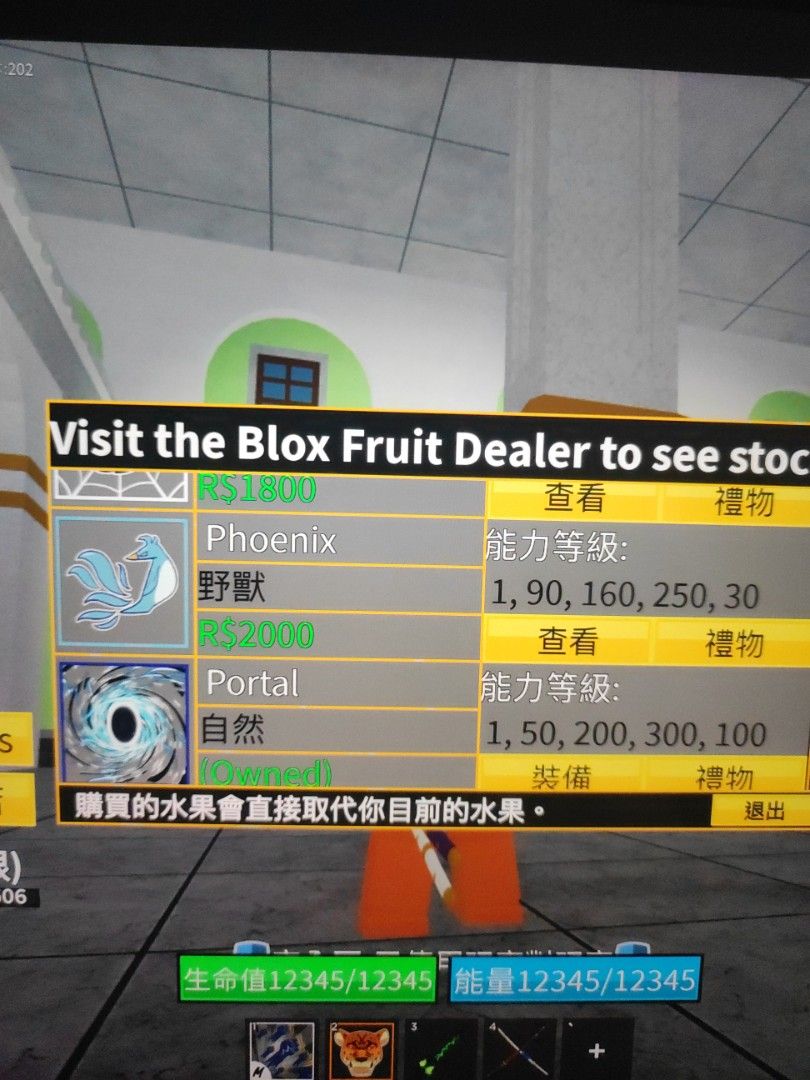 Blox fruit phoenix, 電子遊戲, 電子遊戲, 其他- Carousell
