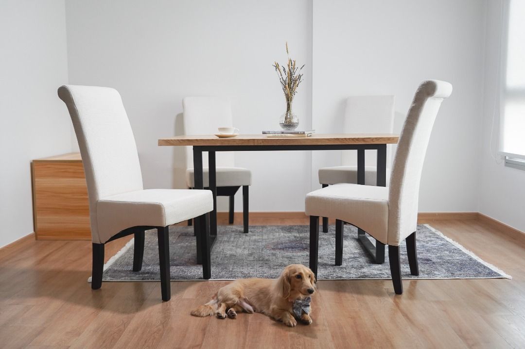 Dining Chair White Fabric, Furniture & Home Living, Furniture, Chairs