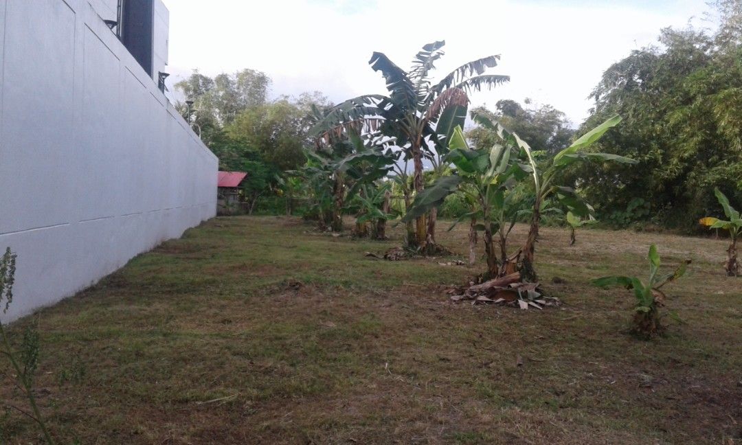Commercial Lot for Sale in Tacloban City (highly negotiable), Property