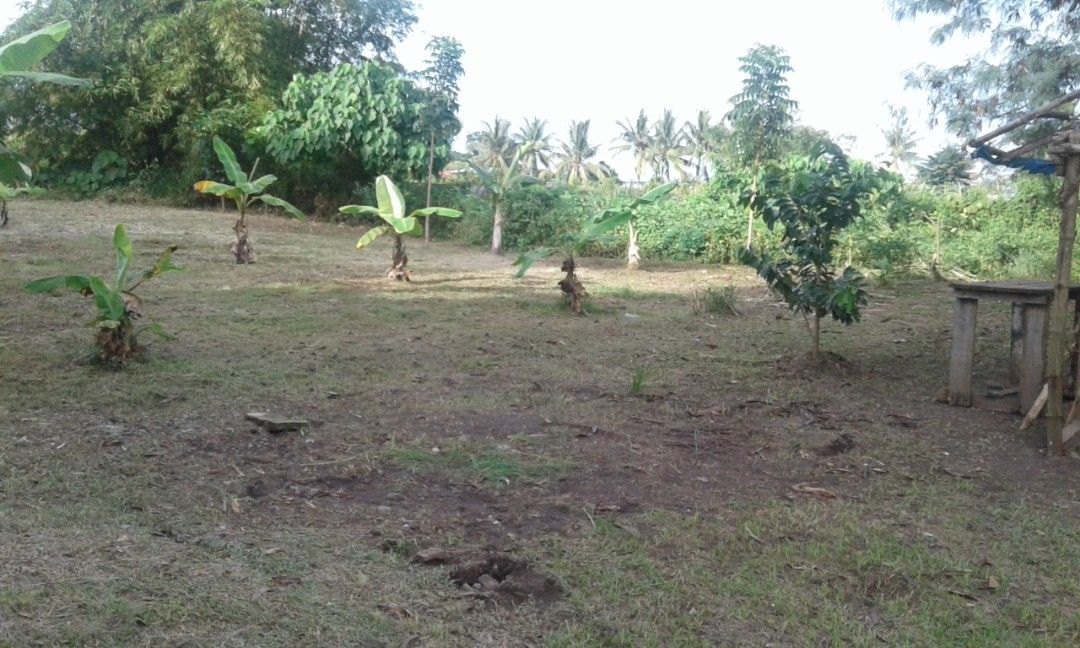 Commercial Lot for Sale in Tacloban City (highly negotiable), Property