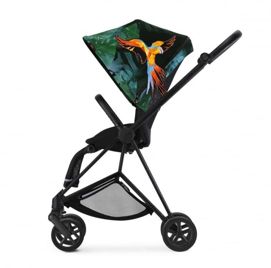 Mios birds of paradise store