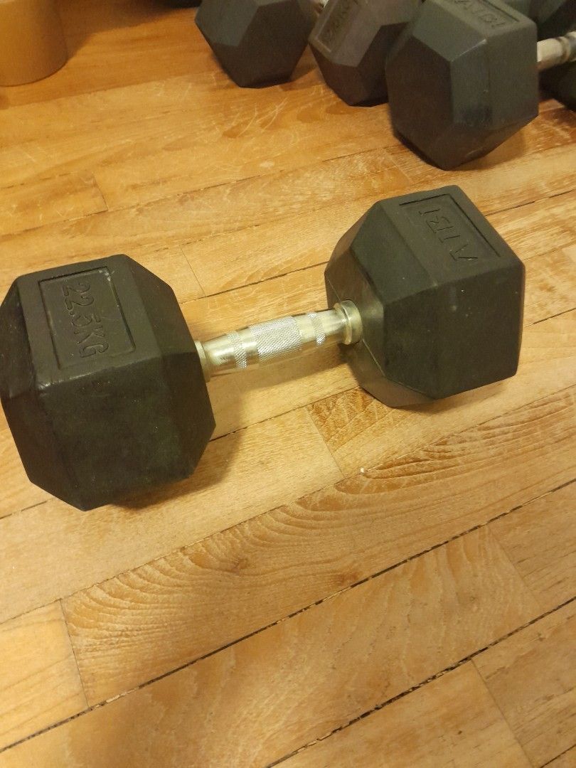 Dumbells set gym quality Sports Equipment Exercise Fitness