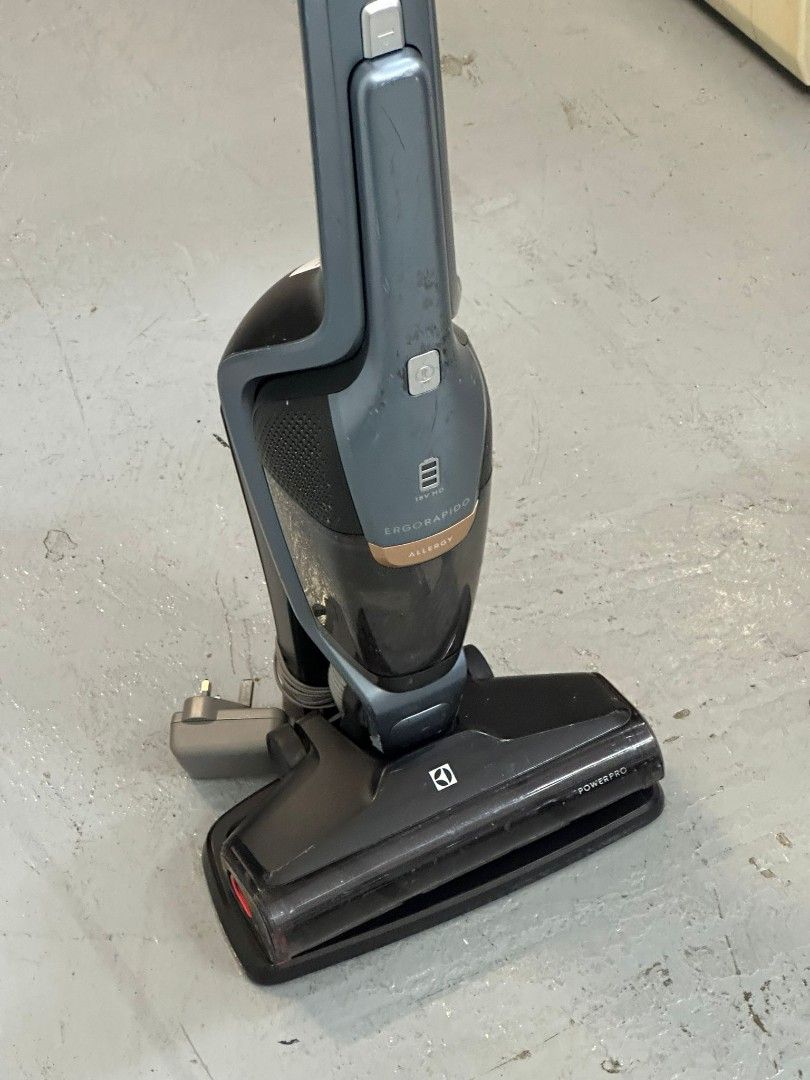 Electrolux ergorapido allergy 18v handstick vacuum review store