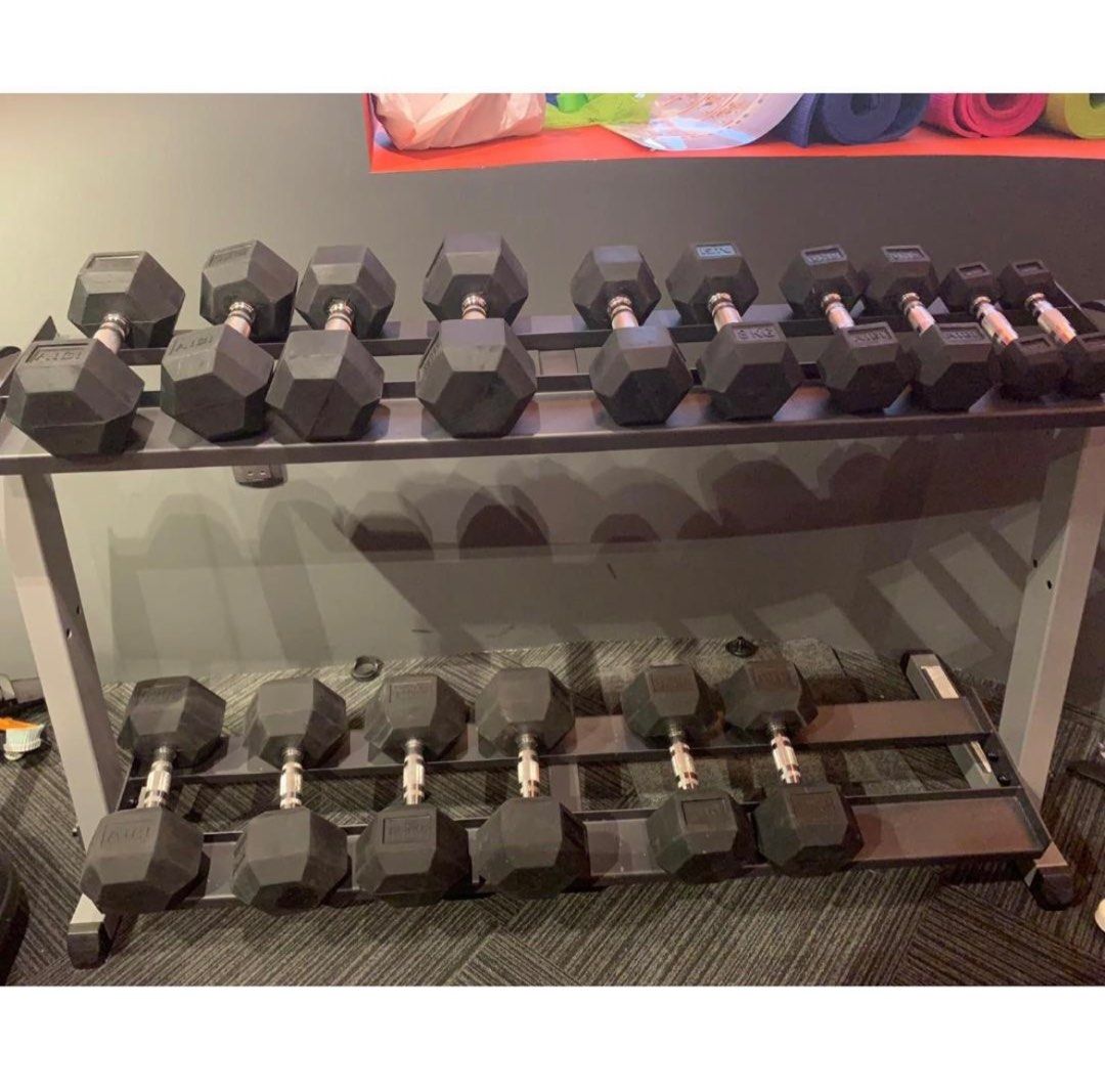 GYM EQUIPMENT FULL SET [AIBI/BODYCRAFT/BENCH/TREADMILL/DUMBBELLS/SQUAT RACK/FUNCTIONAL TRAINER