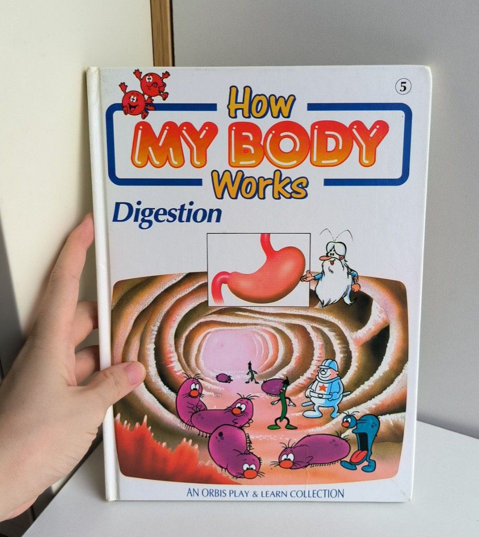 Hardcover How my Body works Digestion With Colorful illustrations Orbis