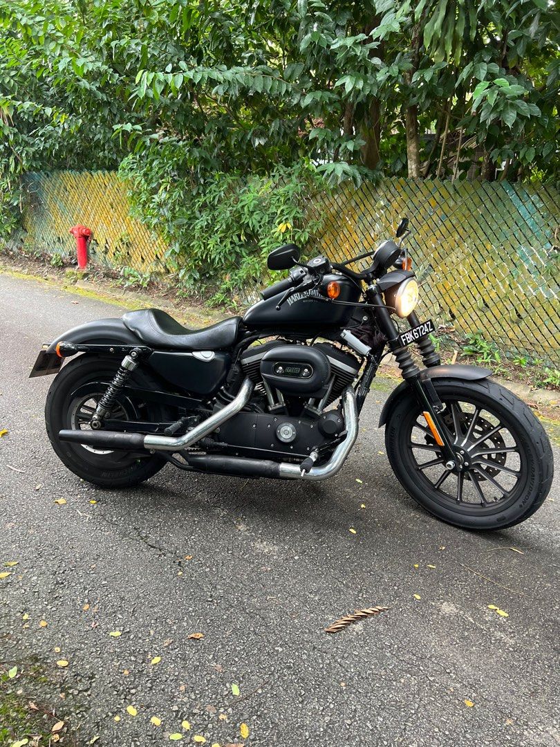 Sportster olx shop