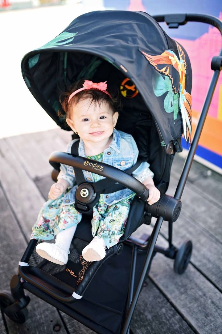Cybex platinum birds of hot sale paradise