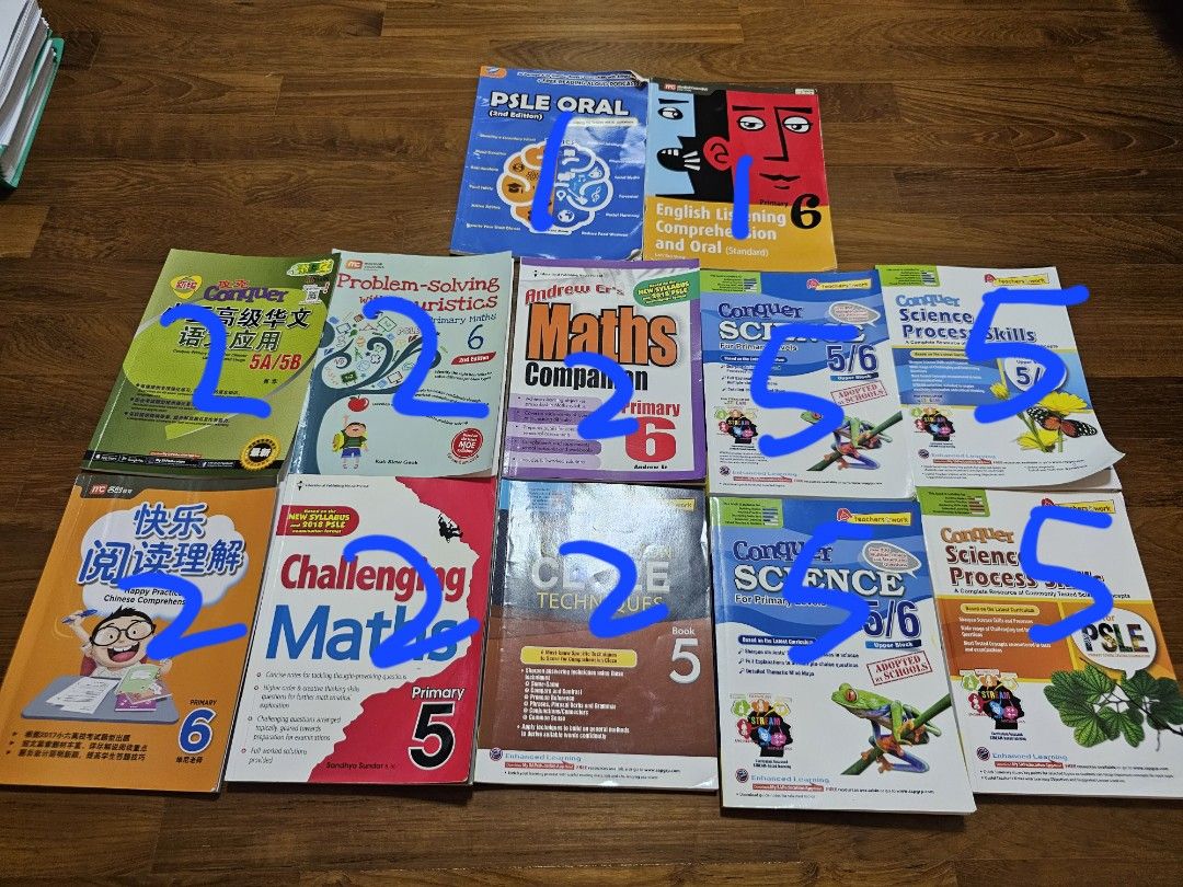 P5 & P6 English, Chinese, Math, Science assessment, Hobbies & Toys