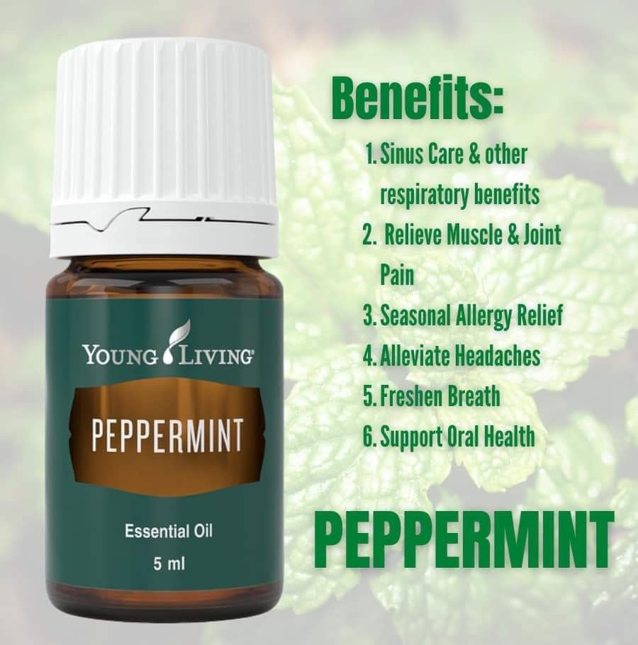 Peppermint essential oil young best sale living