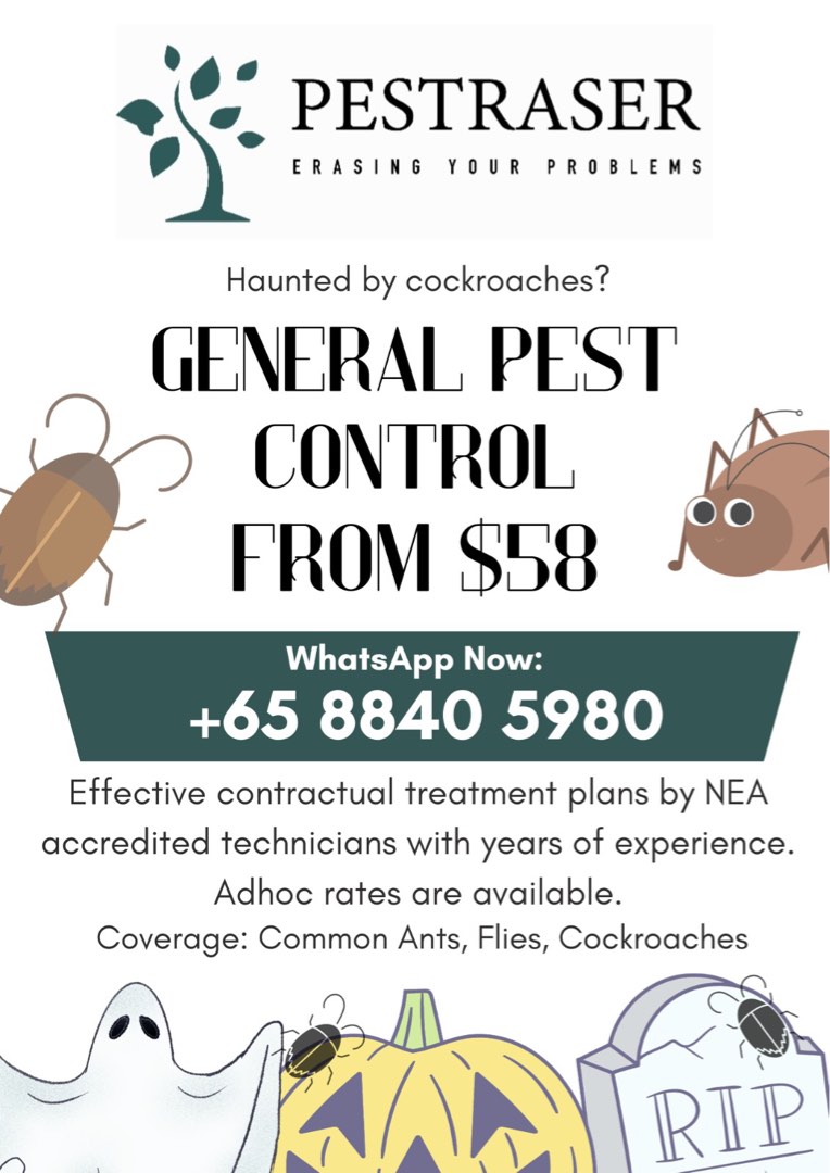 Pestcontrol NEA approved (Cockroach, Ants, Flies), Home Services, Home