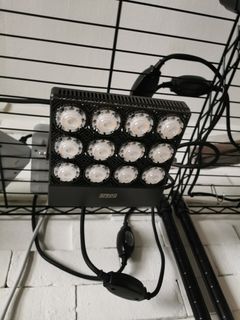 (Category: ) located in . Submitted by devincolla72441 (Listing ID 1259184047, Image 1). Description: .
