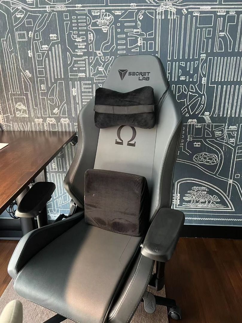Secretlab hot sale omega ash