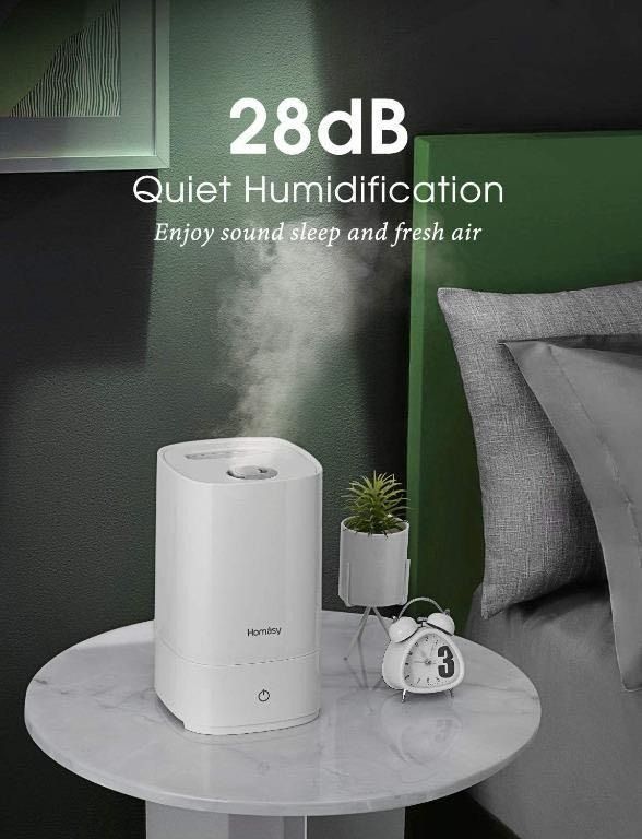 Homasy on sale air purifier