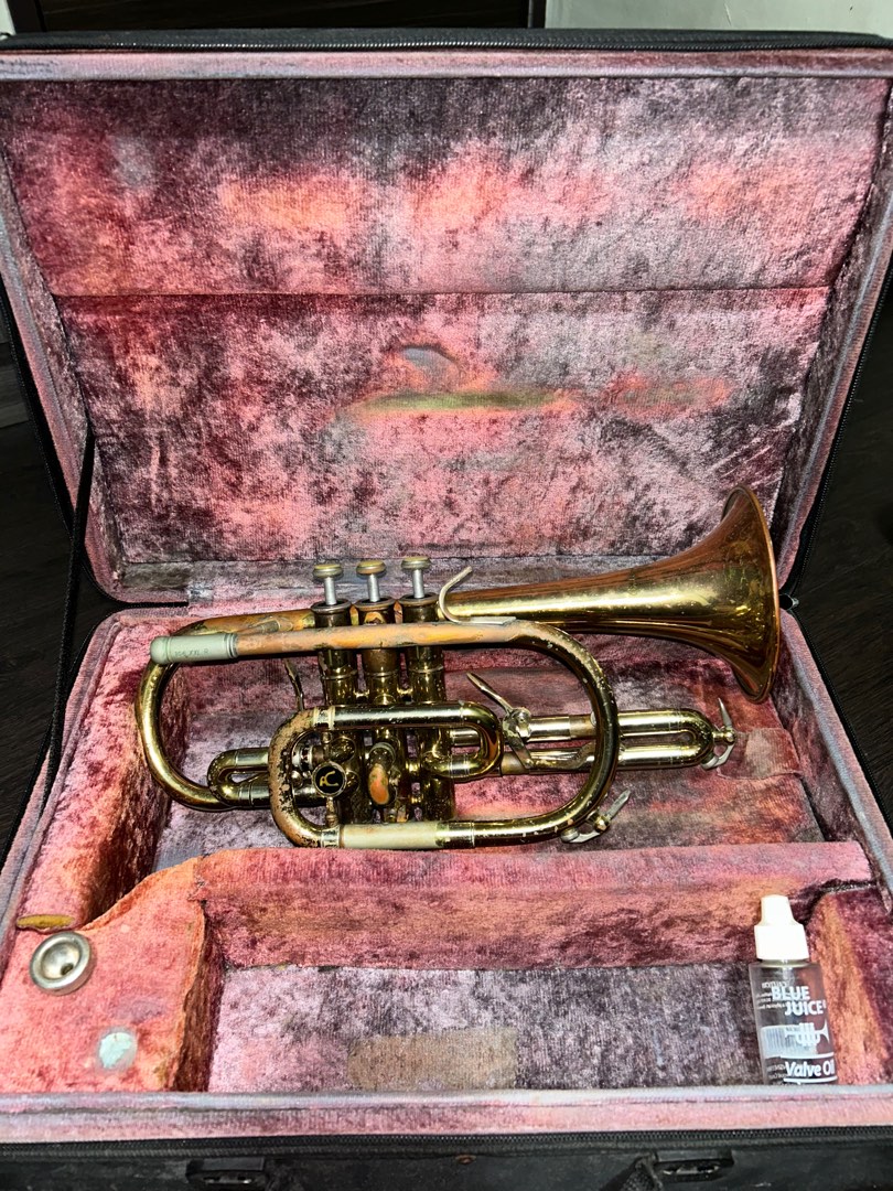 Trumpet, Hobbies & Toys, Music & Media, Musical Instruments on Carousell