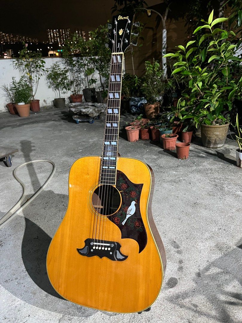 Ibanez store concord 693