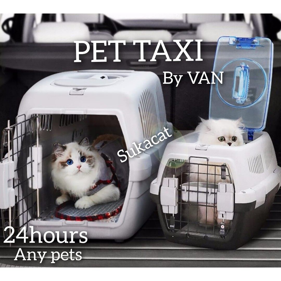 24 Hours Pet Taxi By Van Any pets Any Breed Any Weight Pet