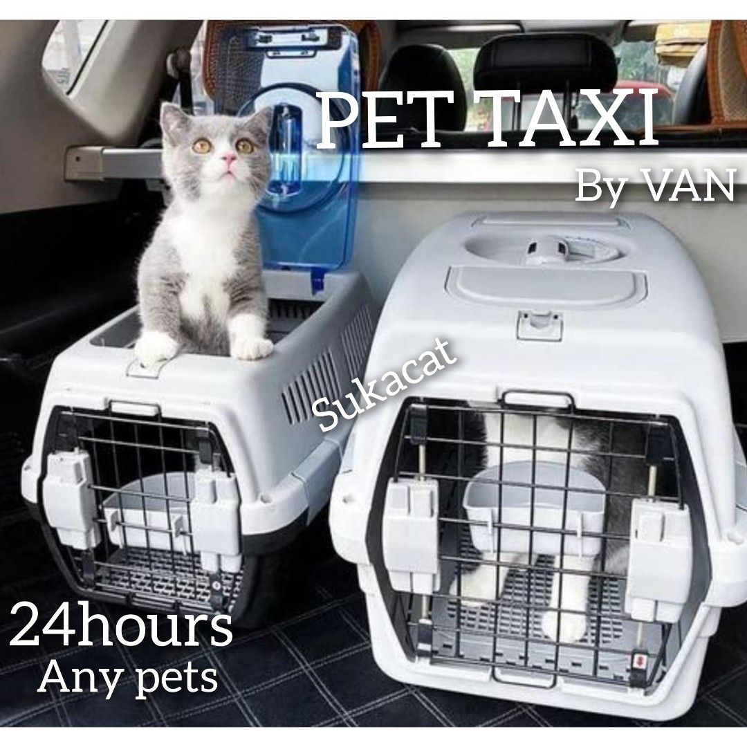 Pet taxi hot sale cat carrier
