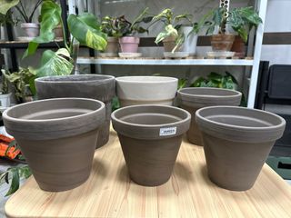 （分類：）位於 。 由 4everGrow 提交（商品編號 1263324523，圖片 1）。簡介： 。