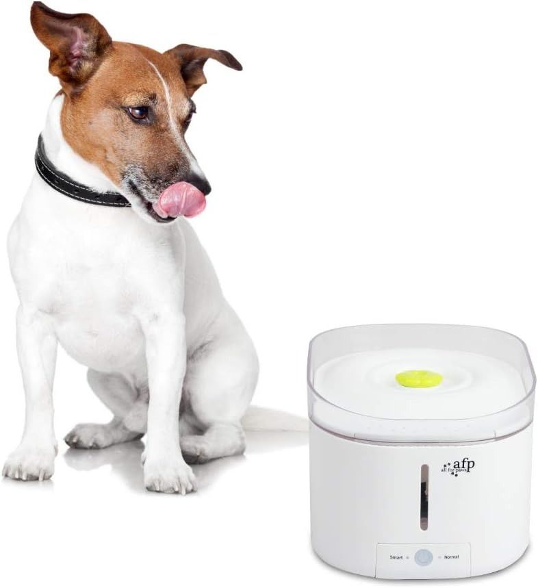 Electric dog best sale water fountain