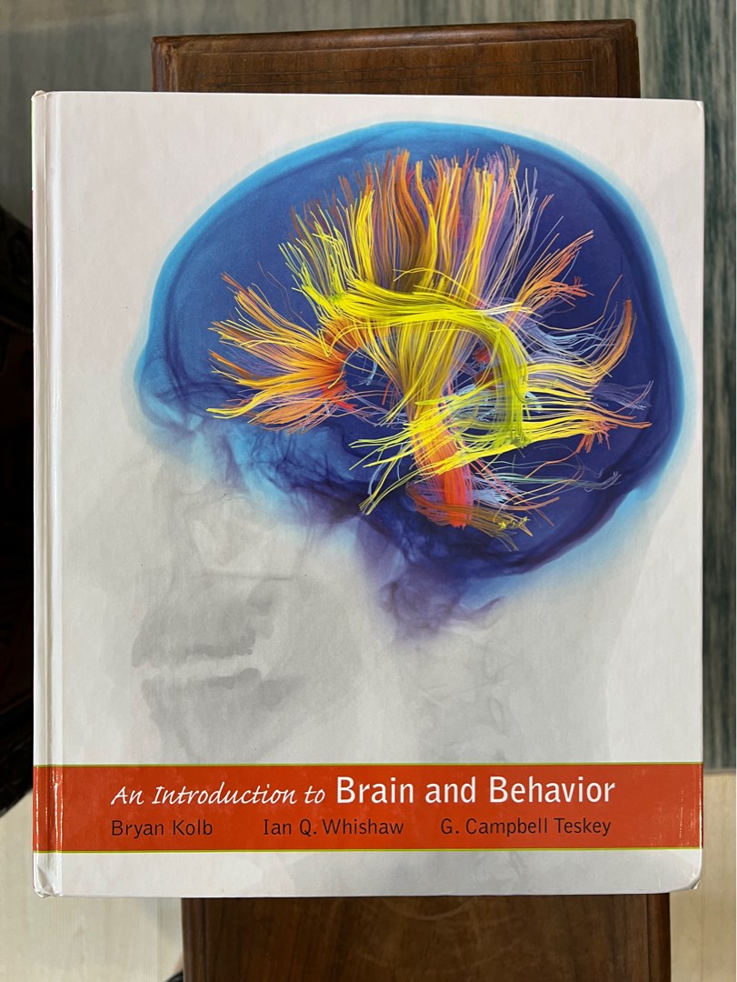 An Introduction to Brain and Behavior, Hobbies & Toys, Books ...