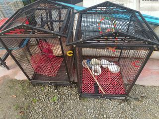 (Category: ) located in . Submitted by shecall (Listing ID 1263234156, Image 1). Description: .