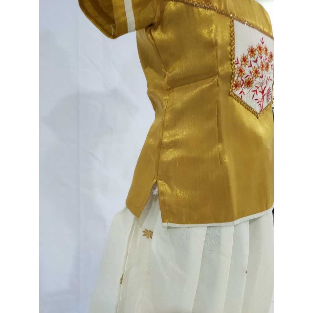Line design kerala tissue kids pattu pavads with kalamkari border and blouse main image 0