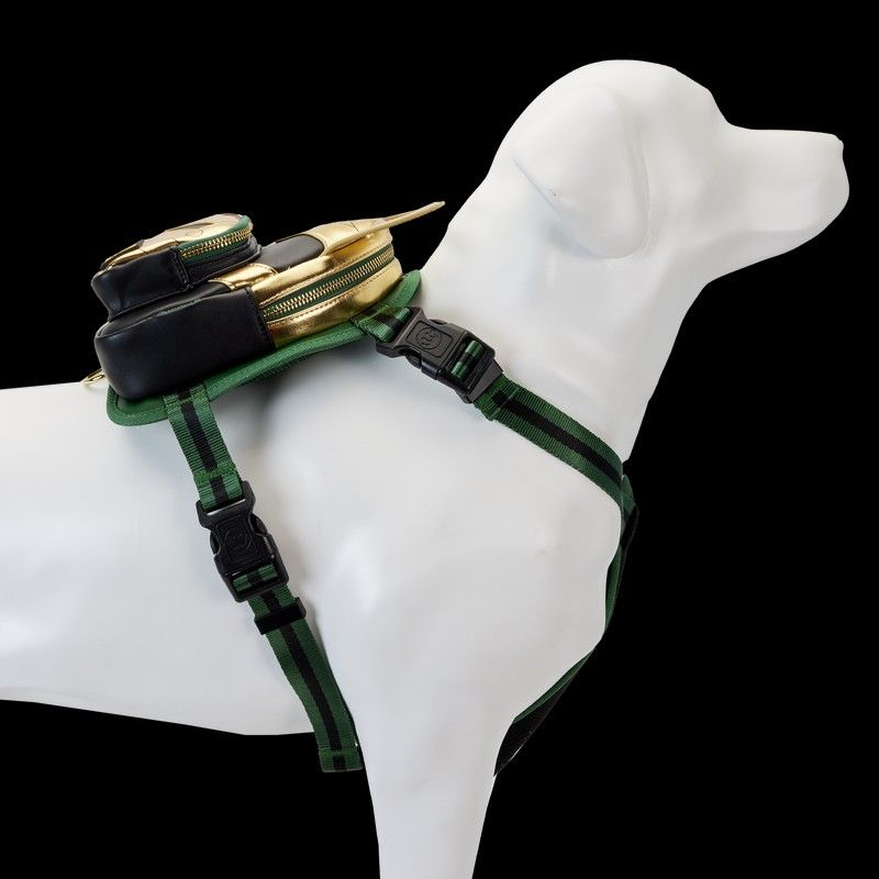 Marvel dog collars loki best sale
