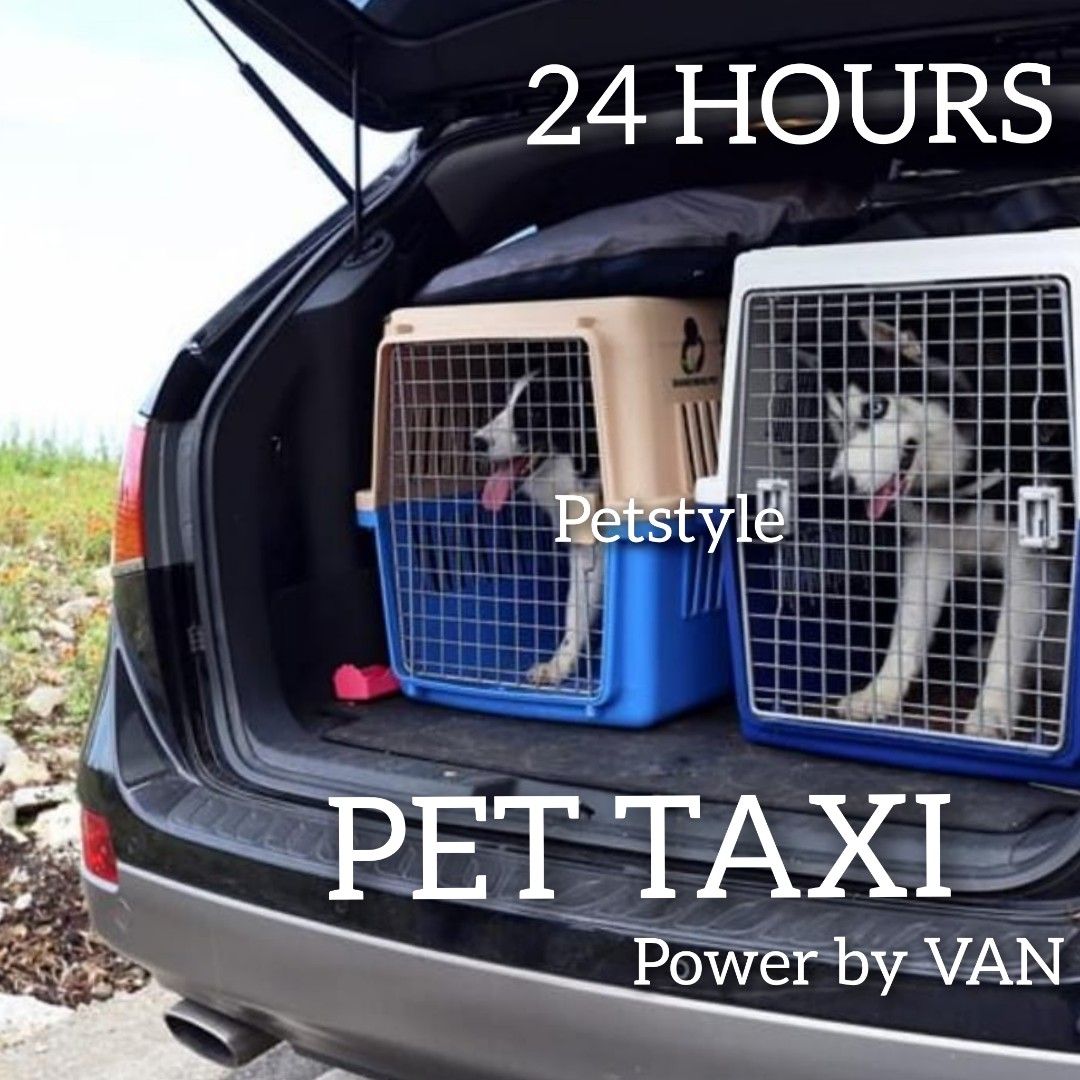 Pet Taxi 24hours Pet Supplies Homes Other Pet Accessories on Carousell
