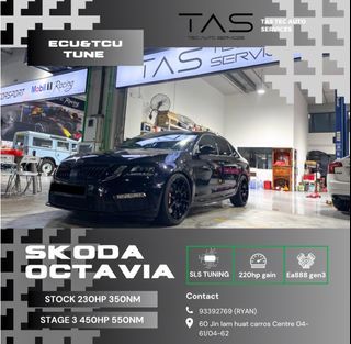 Skoda Octavia 2.0A TSI RS ECU and TCU stage 3 tuning  ea888 gen1/2/3 Audi, Volkswagen , Skoda , seal , vag car tuning and maintenance service
