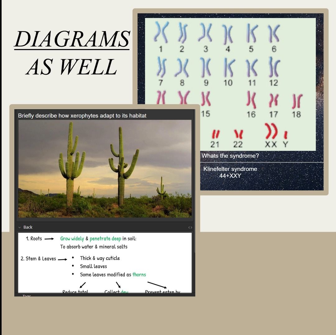SPM Biology Flashcard Anki Form 4 and 5 KSSM Syllabus Notes
