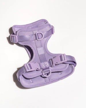 Wild One Comfort Harness in Lilac (Small) (Category: Homes & Other Pet Accessories) located in Manila. Submitted by thriftfactor (Listing ID 1263199760, Image 2). Description: Soft, stretchy, and resilient. This cushioned, lightweight harness has four attachment points to suit different walk styles. Plus, adjustable straps at the neck, chest, and back accommodate different sizes, and make it a breeze for pet parents to slip it on and off. Has a b