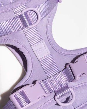 Wild One Comfort Harness in Lilac (Small) (Category: Homes & Other Pet Accessories) located in Manila. Submitted by thriftfactor (Listing ID 1263199760, Image 3). Description: Soft, stretchy, and resilient. This cushioned, lightweight harness has four attachment points to suit different walk styles. Plus, adjustable straps at the neck, chest, and back accommodate different sizes, and make it a breeze for pet parents to slip it on and off. Has a b