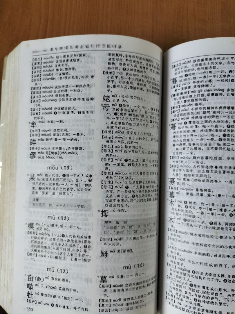 时代汉语词典 MOE Approved Dictionary, Hobbies & Toys, Books & Magazines